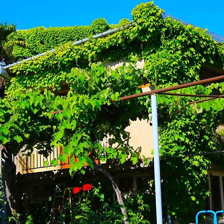 Guest House Green Veranda Mtsʼkhetʼa Bagian luar foto