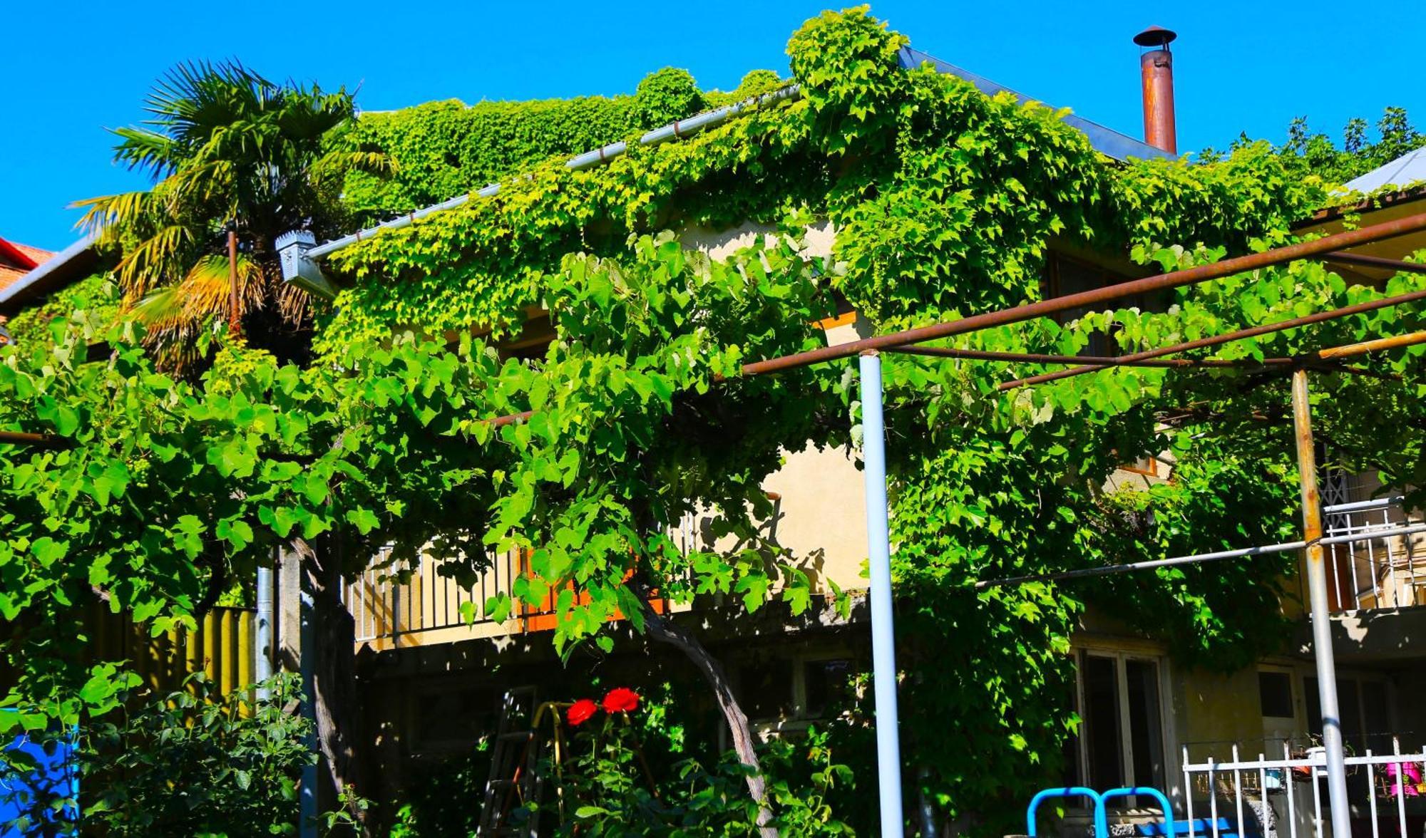 Guest House Green Veranda Mtsʼkhetʼa Bagian luar foto