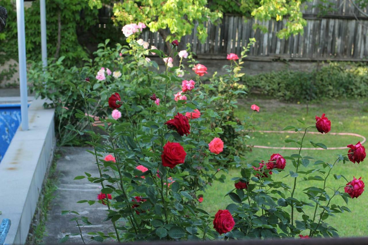 Guest House Green Veranda Mtsʼkhetʼa Bagian luar foto